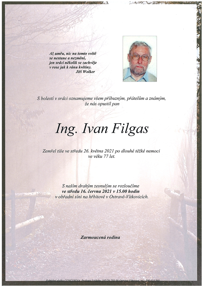 Ing. Ivan Filgas